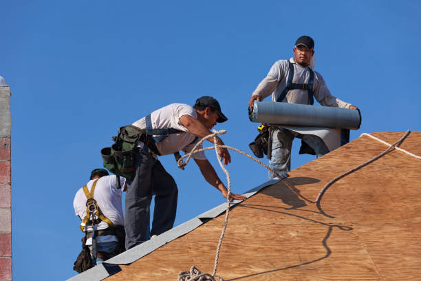 Best Gutter Installation and Roofing  in Bridgewater, VA