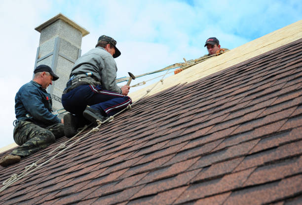 Quick and Trustworthy Emergency Roof Repair Services in Bridgewater, VA